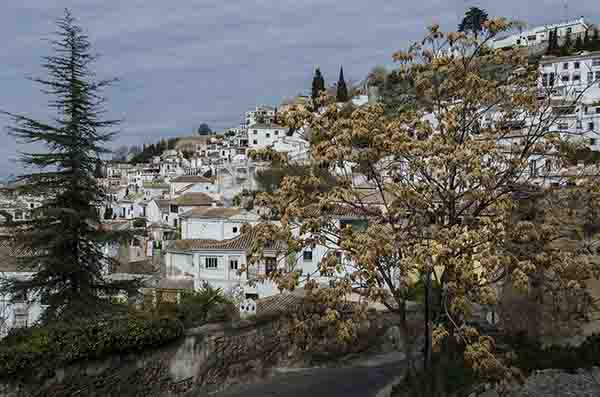 Granada 206 - barrio del Albayzin.jpg